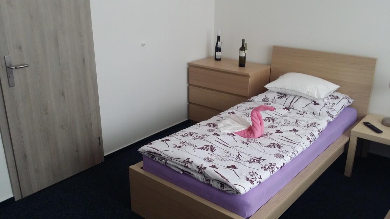 Ubytovani Nemcicky Bagian luar foto